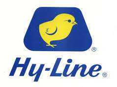 HY-LINE INTERNATIONAL 