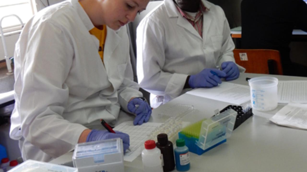 GIP Innovation Labs in Ghana and Tanzania