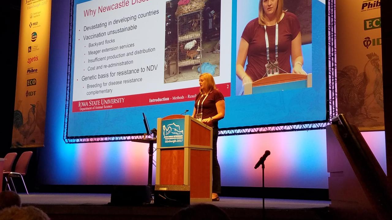 World Poultry Veterinarians Association Conference