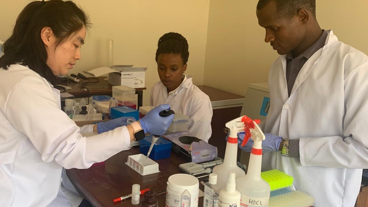 Training workshop conducted at Sokoine University of Agriculture for the detection of natural antibody