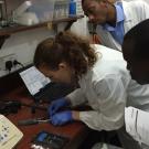 Adopt a cutting edge sequencing technology to characterize the Newcastle virus in Ghana