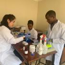 Training workshop conducted at Sokoine University of Agriculture for the detection of natural antibody